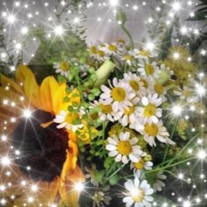 Meet your Posher, Ann